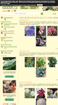 Mobile Screenshot of piante.ru