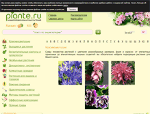 Tablet Screenshot of piante.ru